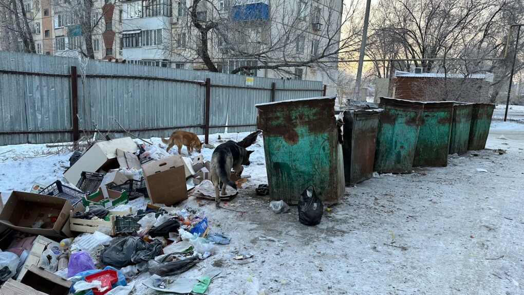 WhatsApp Image 2025-02-19 at 09.26.14