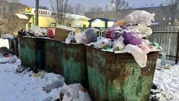 WhatsApp Image 2025-02-24 at 16.37.28