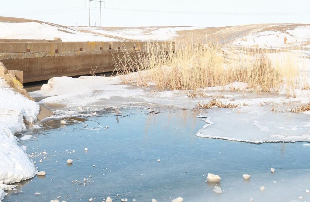 d2b59192-c2b6-4254-bde9-438f5c815dc5 (1)