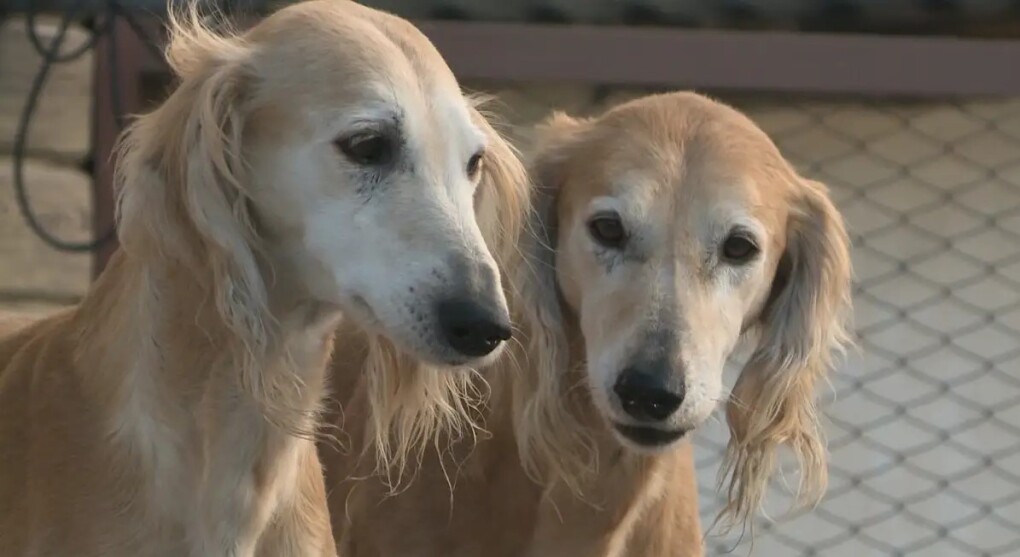 d52d10e3-a186-4dc0-a5ef-85a23c053335