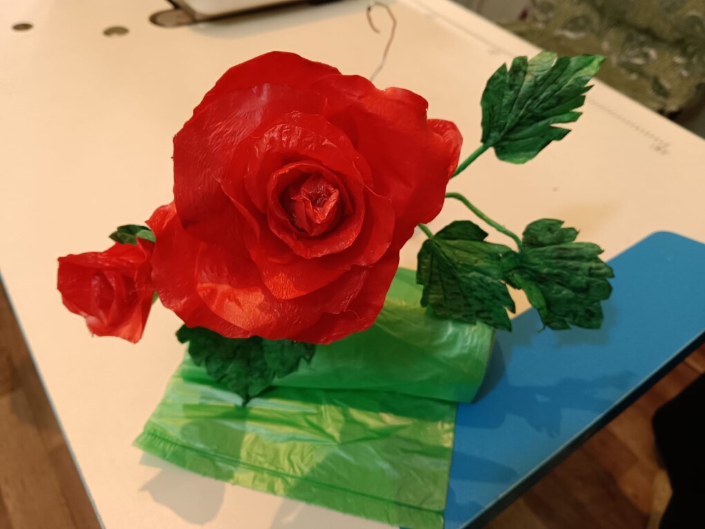 image-03-02-25-03-09-4