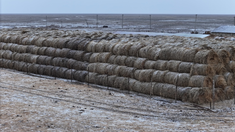 image-13-02-25-09-40-1