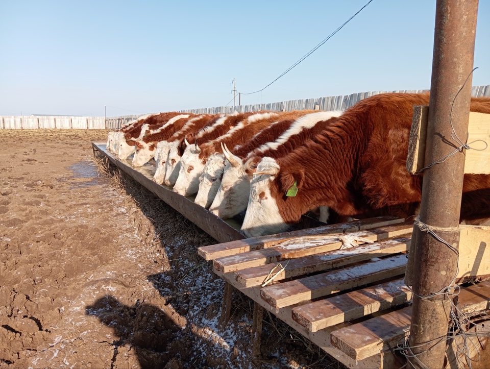 image-13-02-25-09-40-2