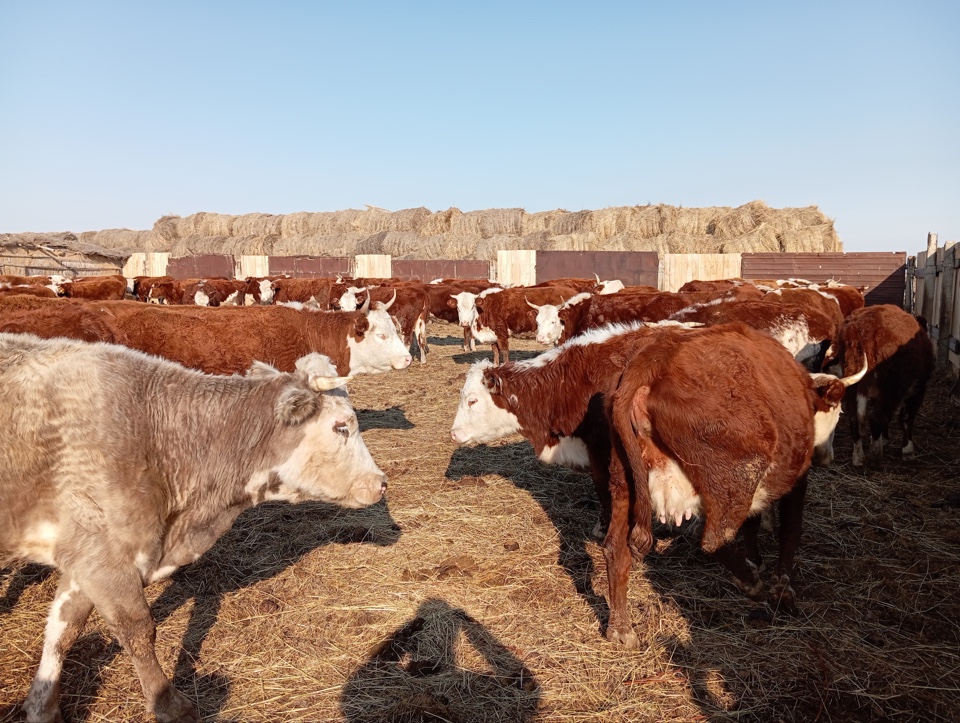 image-13-02-25-09-40-3