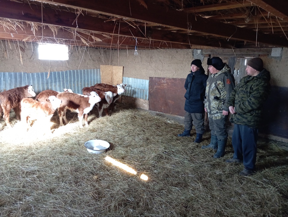 image-13-02-25-09-40