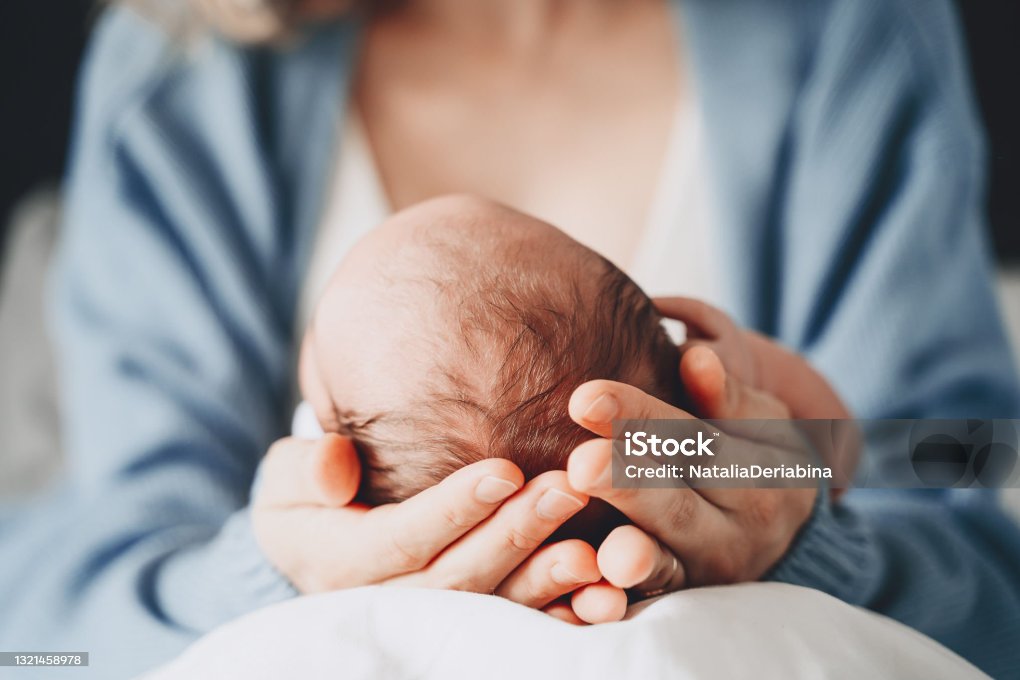 istockphoto-1321458978-2048x2048