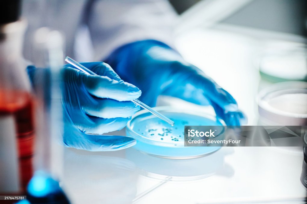 istockphoto-2176475781-2048x2048