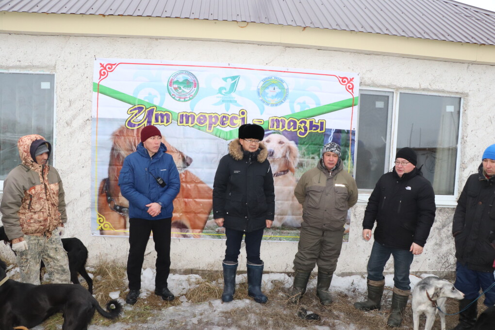 мереке тазы сайысы (3)