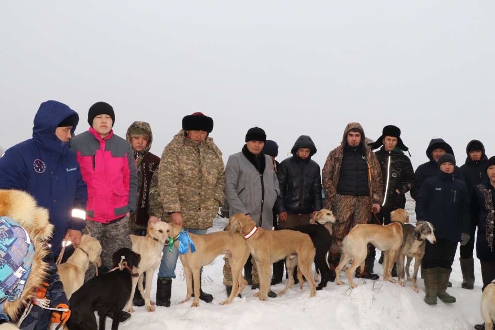 мереке тазы сайысы (4)