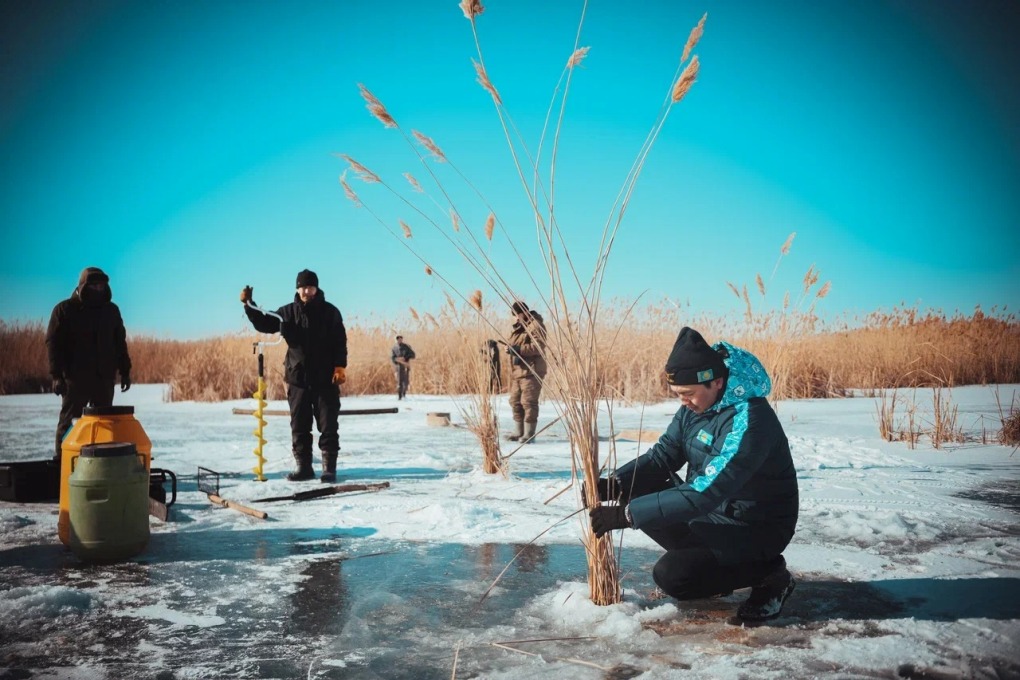 жп казах виллидж балық (26)