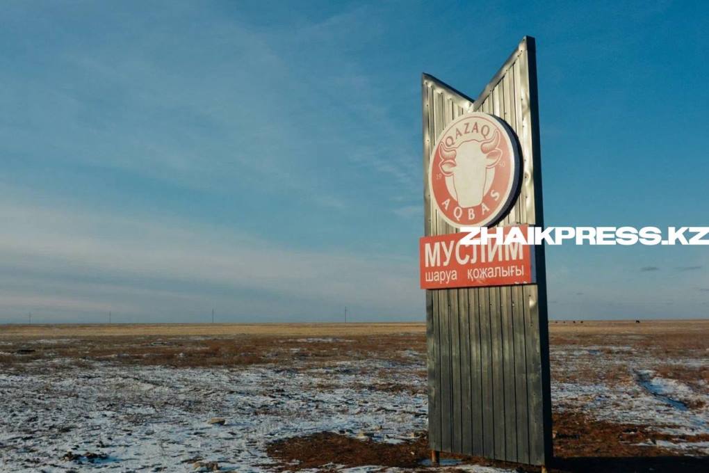 жп казах виллидж06