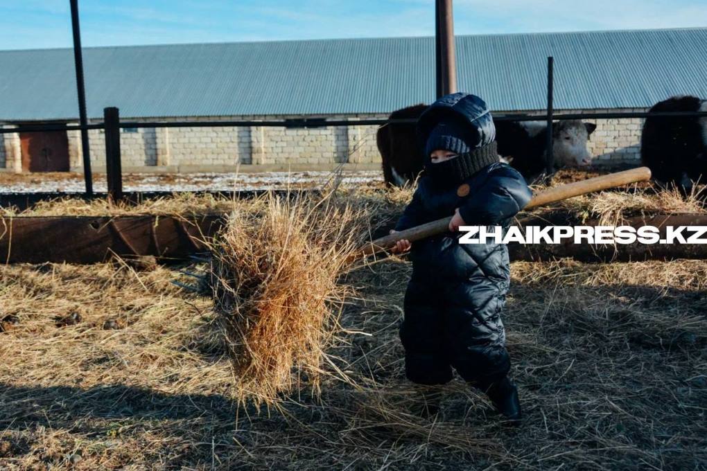 жп казах виллидж14