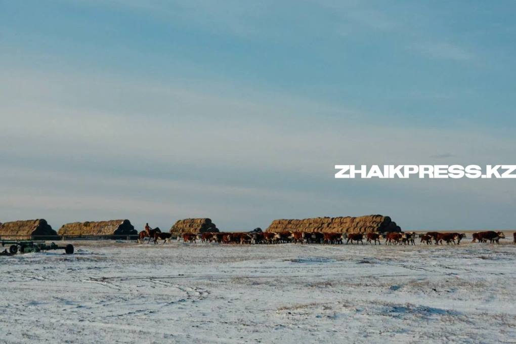 жп казах виллидж16