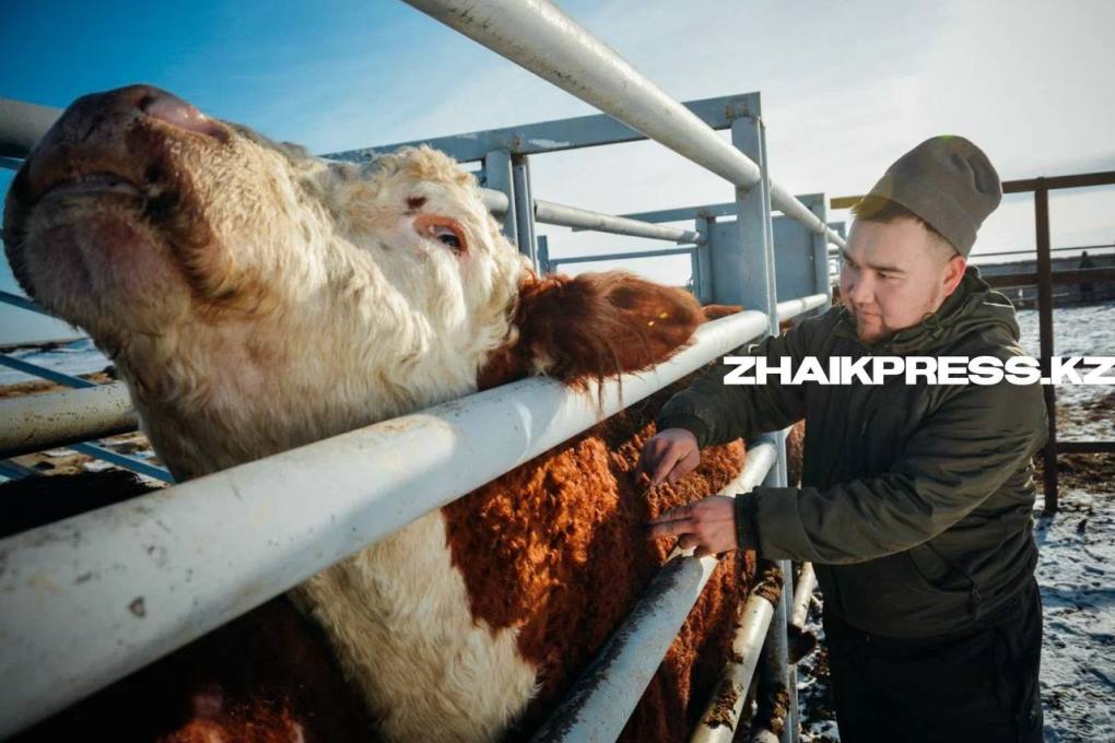 жп казах виллидж17