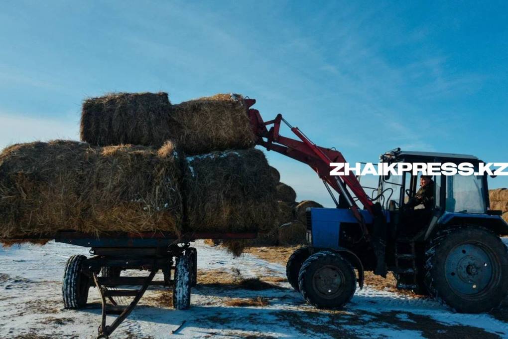 жп казах виллидж22