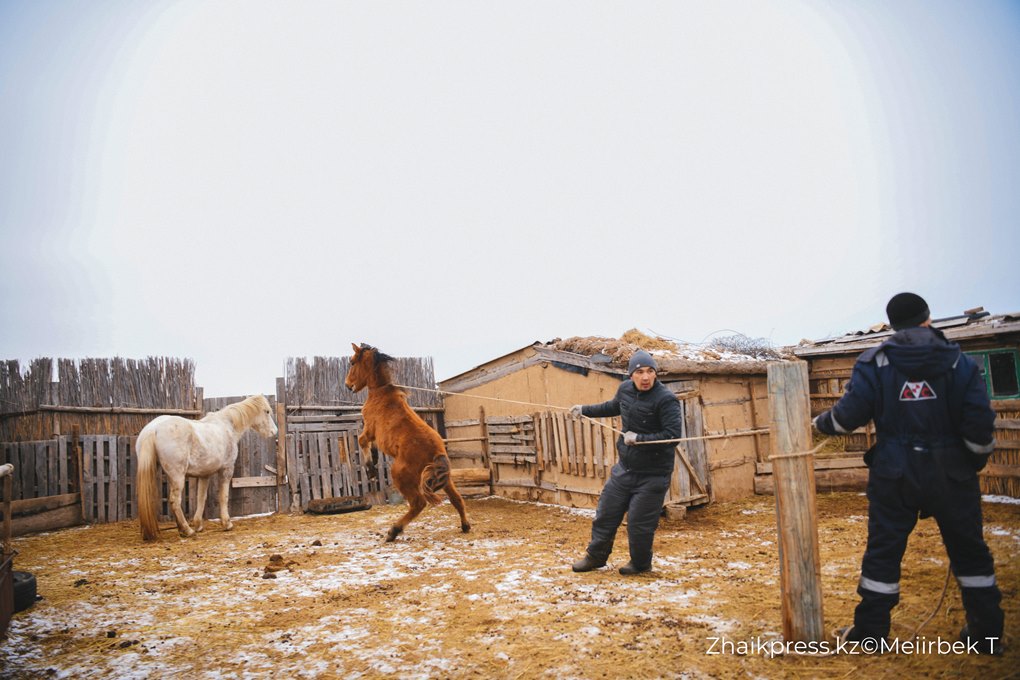 жп виллидж жанакала жанажол (1)