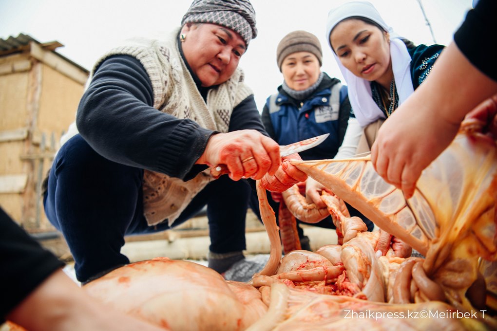 жп виллидж жанакала жанажол (11)