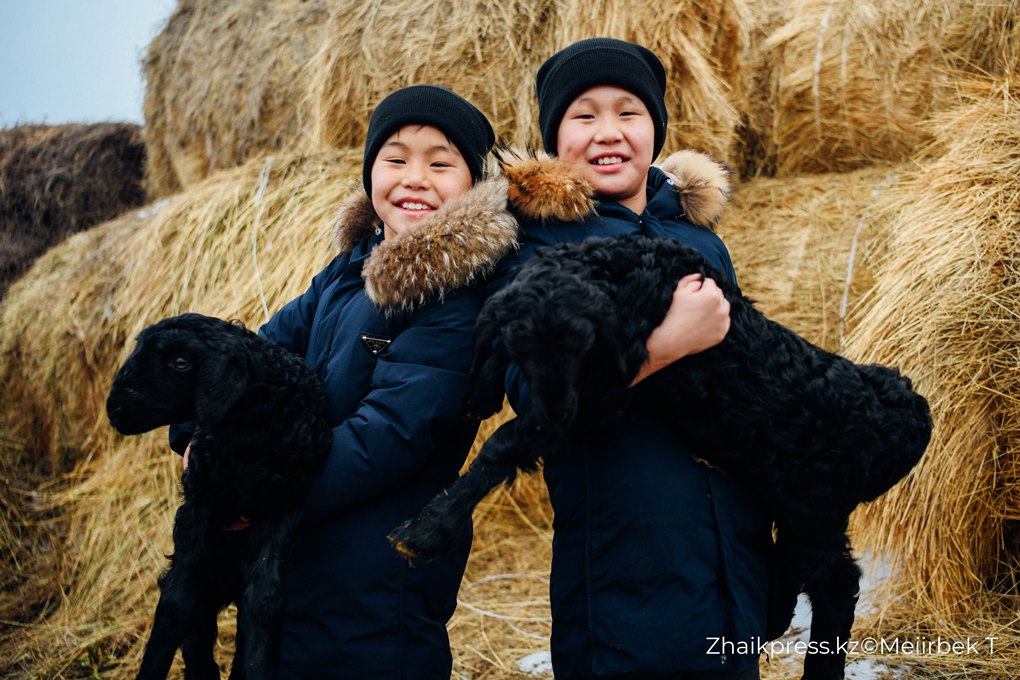 жп виллидж жанакала жанажол (17)