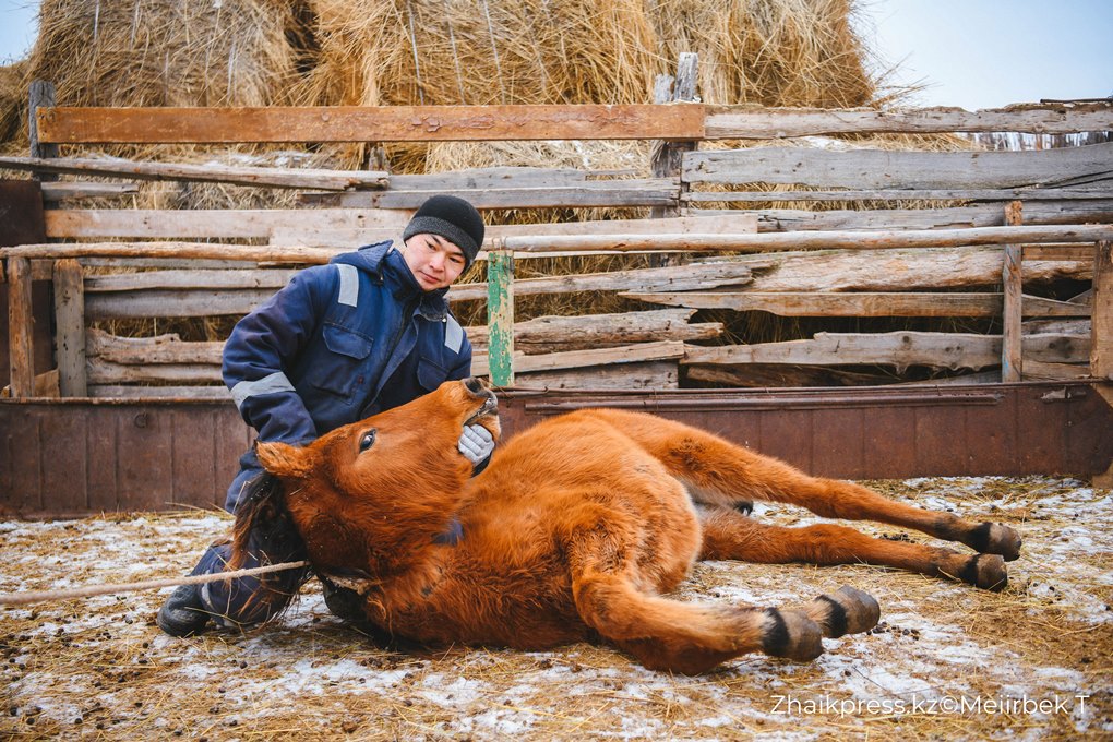 жп виллидж жанакала жанажол (2)