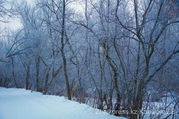 жп хан тоғайы (16)