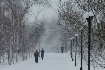 орал кар 2025 2