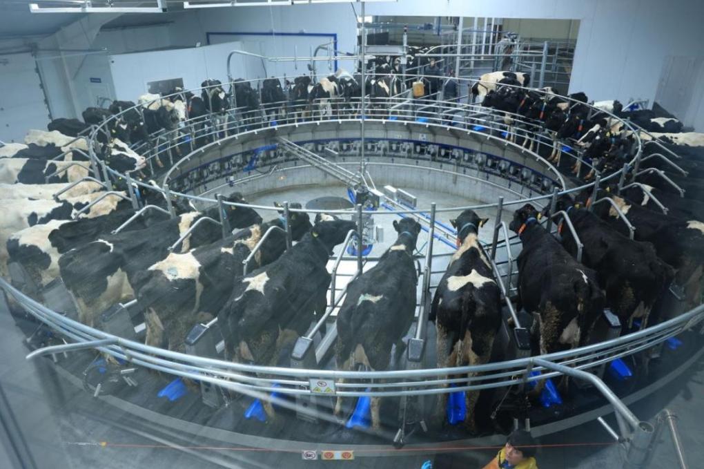 282098109ce40ee3cff34dabeb5696ed_1280x720