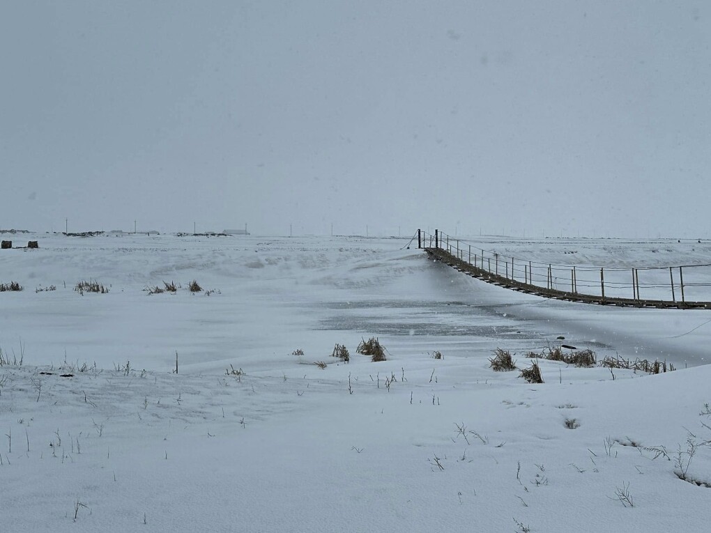 481509491_1236558188473853_817361289938603220_n