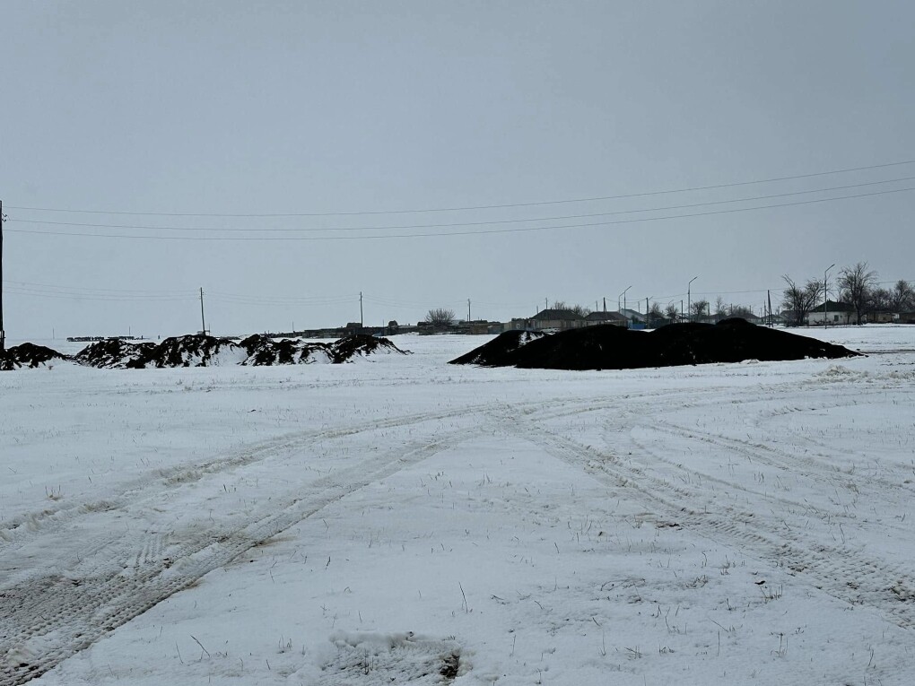 481668540_1236561575140181_7392229882074109415_n