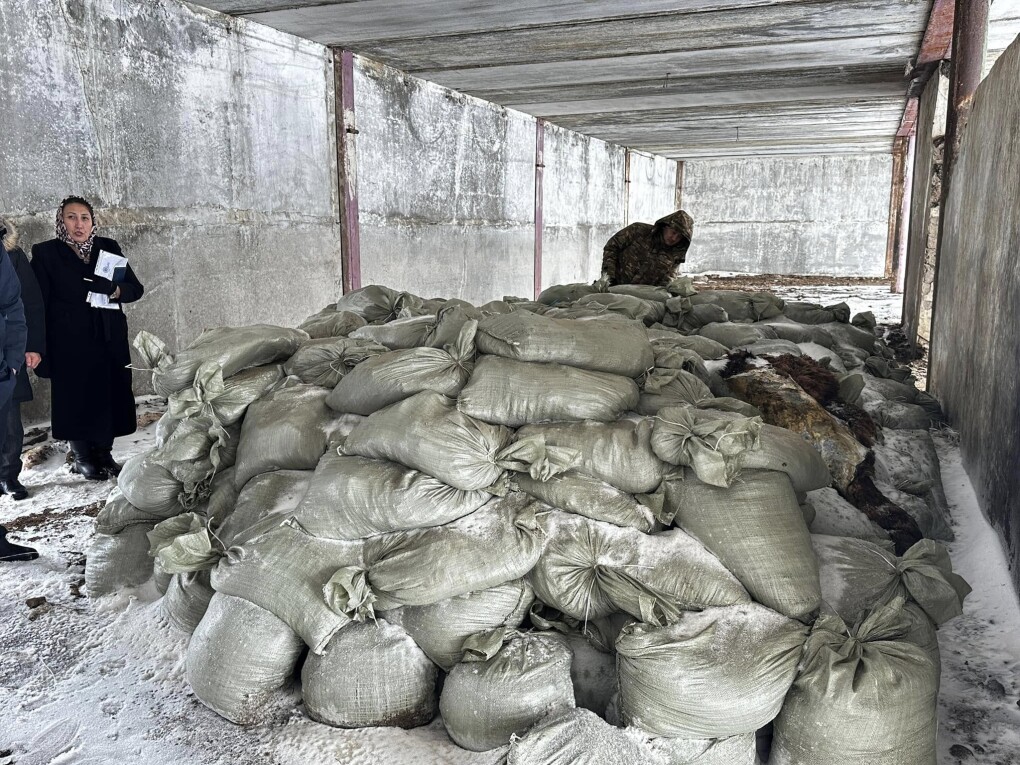 482064305_1236558025140536_7288655132765547192_n