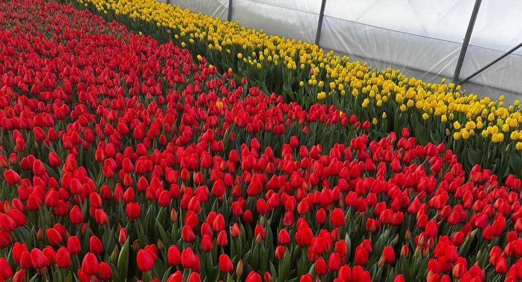 5a2280fd-65e2-42c7-bc9a-4352ee479d12