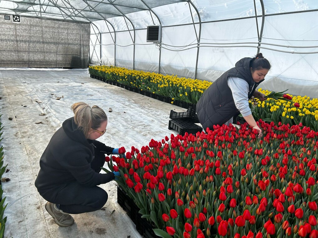 5e41c59c-f4e8-4010-a806-d43478fcc110