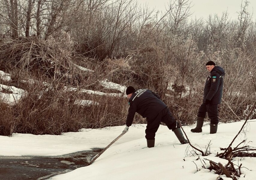 Нейлоннан жасалған бөкселер