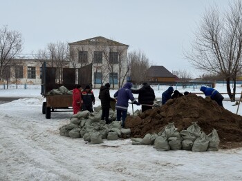 Изображение WhatsApp 2025-03-12 в 16.25.07_9d980d2d