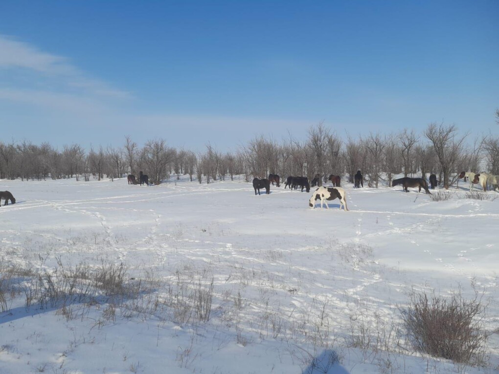 WhatsApp Image 2025-03-03 at 08.05.09