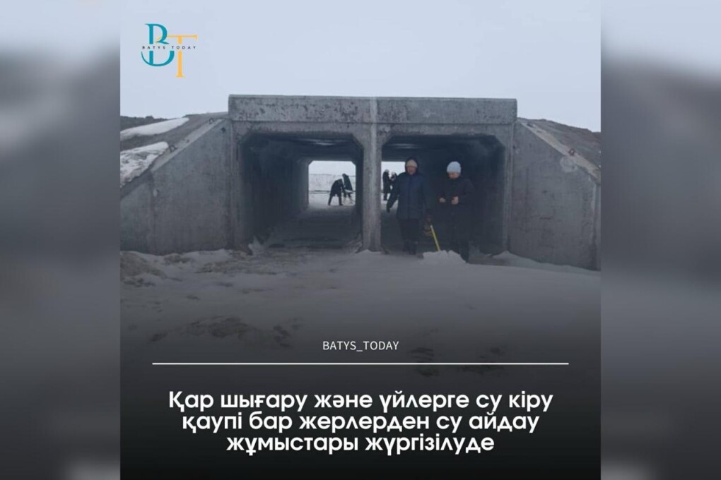 WhatsApp Image 2025-03-12 at 12.19.24