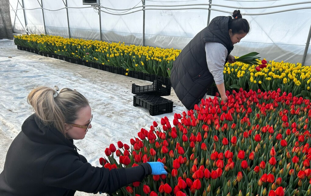 a1d6b57c-74c1-475e-a8aa-5b6de11e61d6