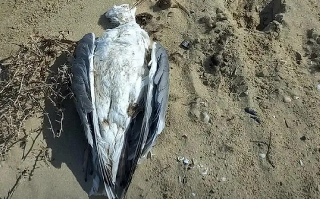 ce4c7aef-52aa-4e74-9830-e285e176e347