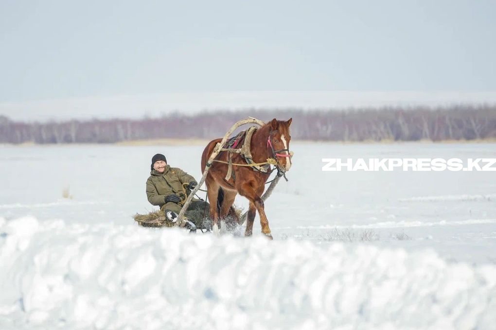 жп казах виллидж шынгырлау ауданы (11)