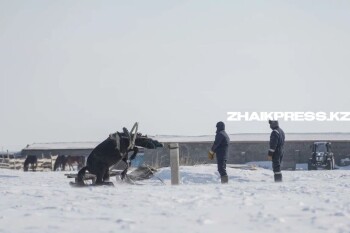 жп казах виллидж шынгырлау ауданы (7)