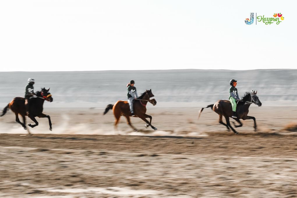 жп отпантау (4)