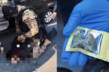 194daa25-b5a4-4a15-8c40-49c4c79f4afa