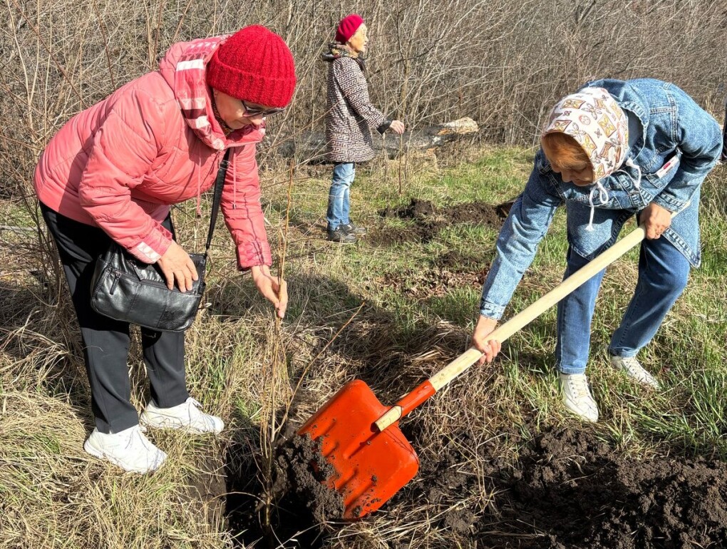 28fec9f0-0f1a-4f19-8702-b91d85b3f9a9