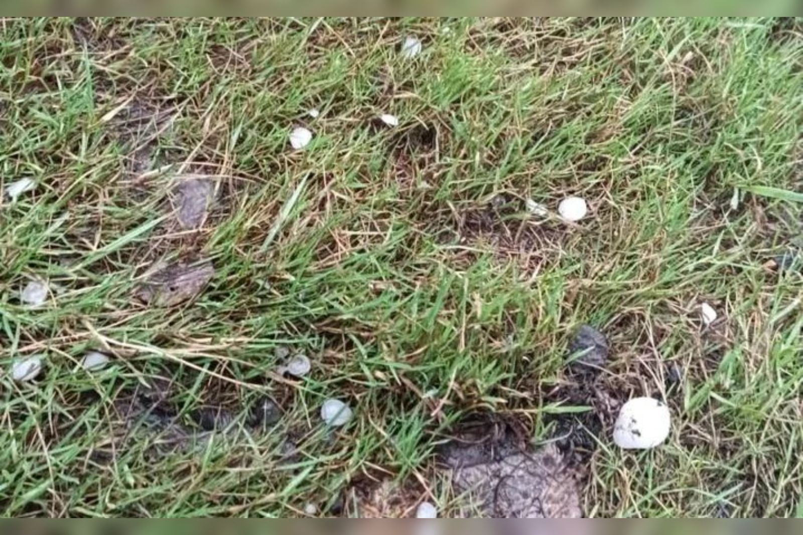 2a88a487-d6a9-48dd-95aa-45053122923f +