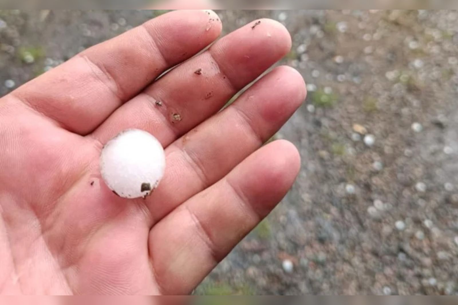 8b02d2ce-612b-4e33-a535-8cc5771f992a +