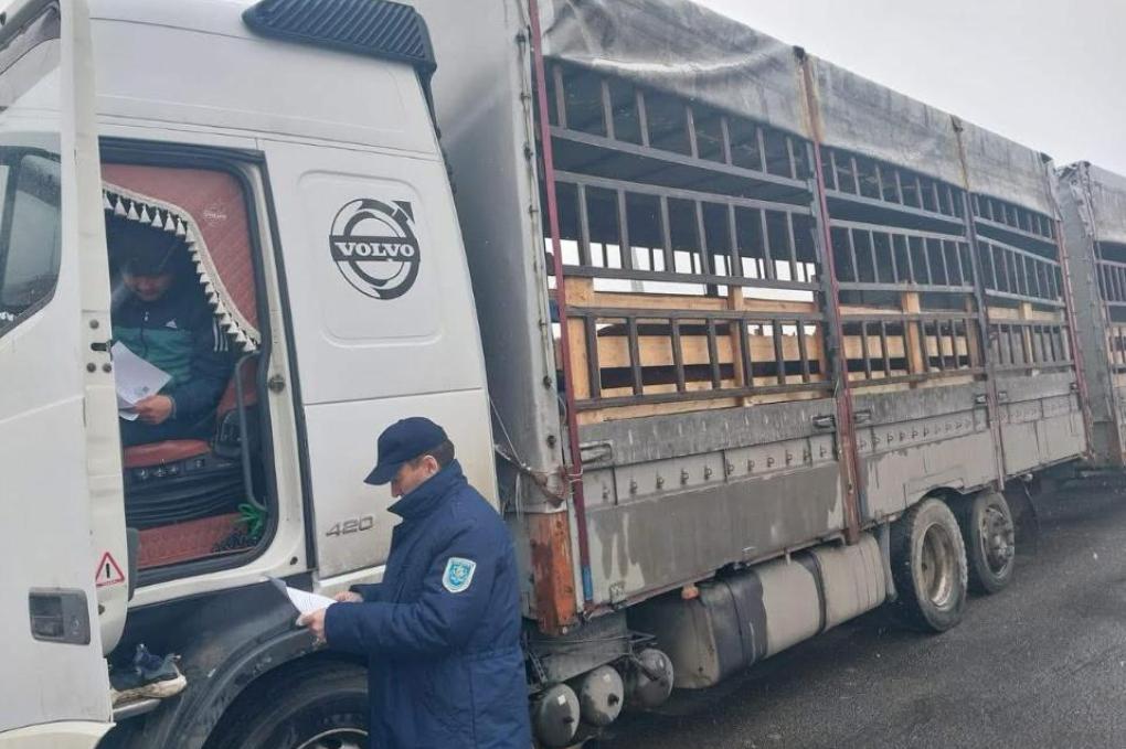 99afc622740232e21961e1b0d346e548_1280x720