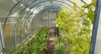 9b1f2495-d706-48ac-9dd3-25a038ceb7d5