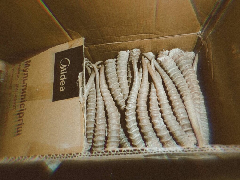 IMG_20250428_161437_500