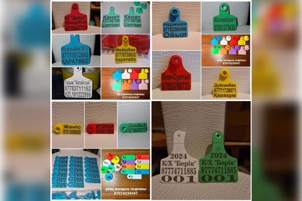 WhatsApp Image 2025-04-02 at 17.44.40