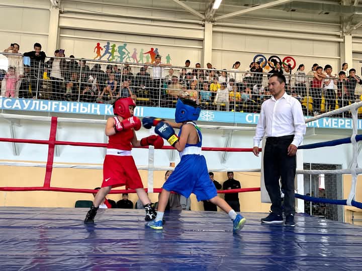 WhatsApp Image 2025-04-25 at 12.17.27