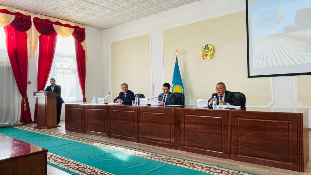 WhatsApp Image 2025-04-25 at 23.29.37